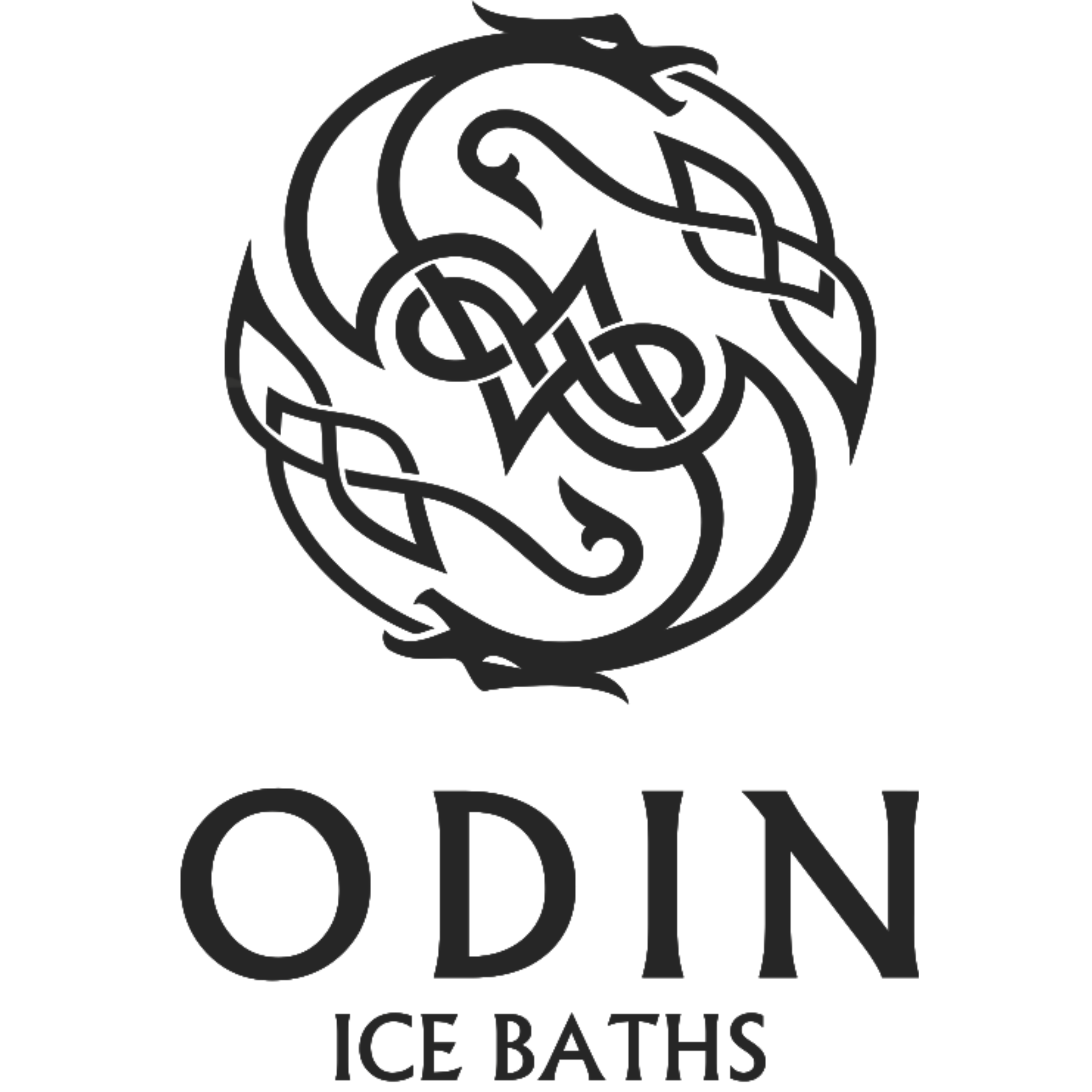Odin Ice Baths
